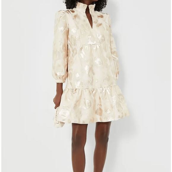 Tuckernuck Champagne Fil Coupe Palmerston Ruffle Collar Ivory Dress  Size XL - Picture 16 of 16